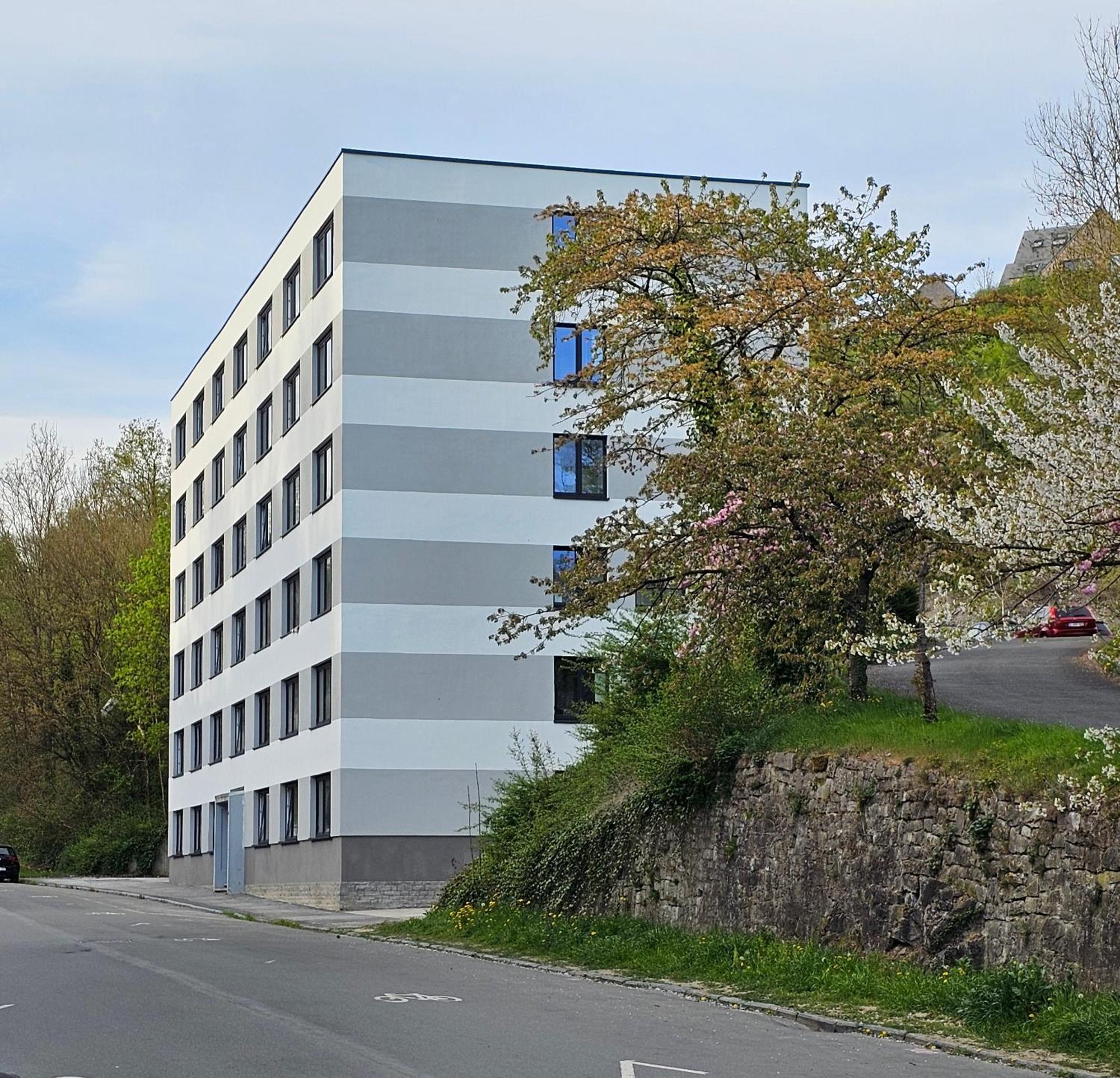 Le Cosy - Queen-size, full équipé, wifi, parking Namur Exterior foto